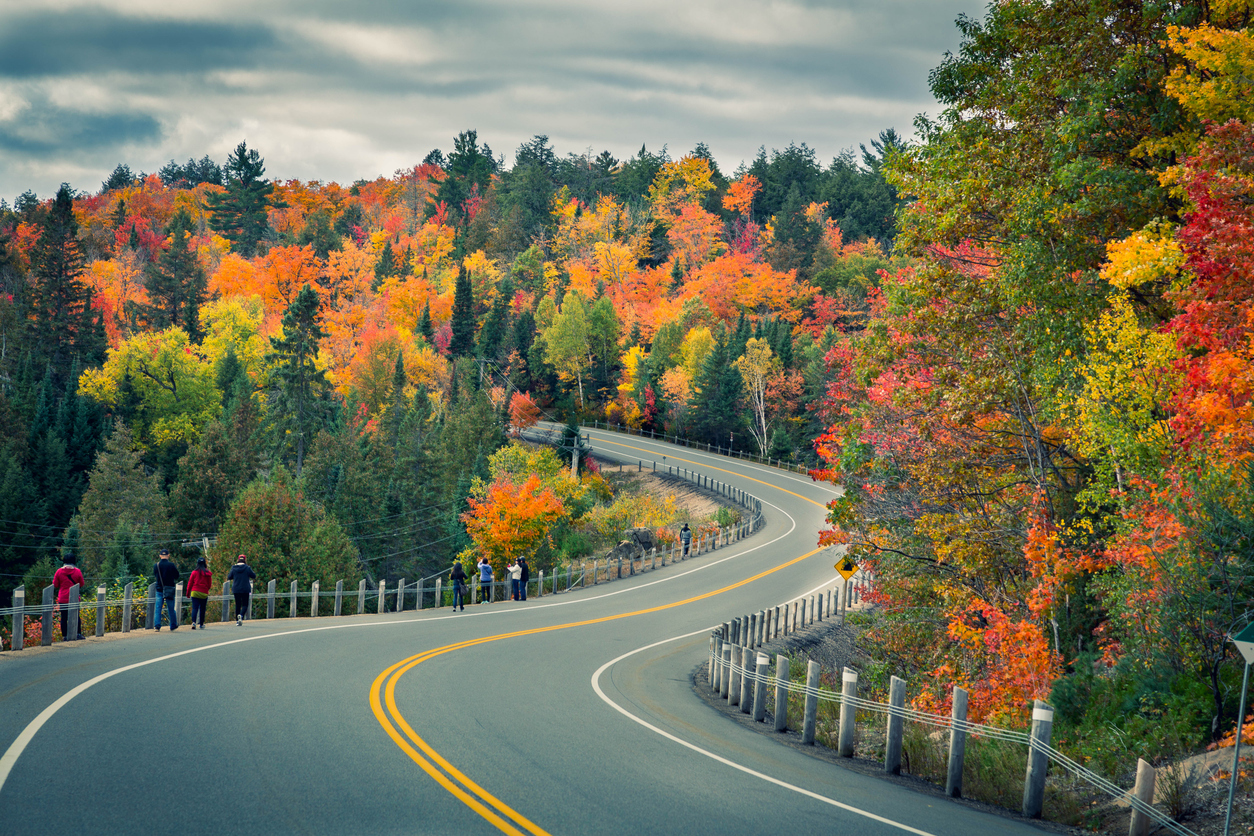 Thanksgiving Travel Tips for North Carolina Drivers: Stay Safe and Ready for the Road